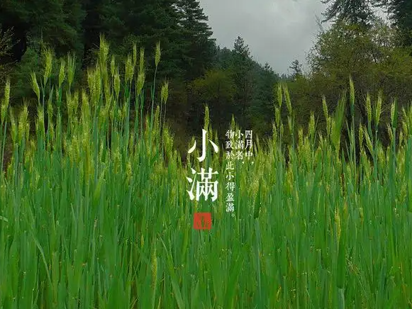 今日小滿，擎川與你一起靜待美滿！